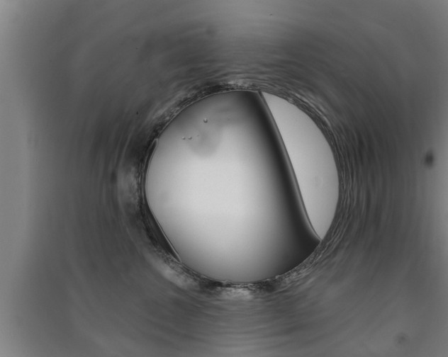 X0000091510572200708170951