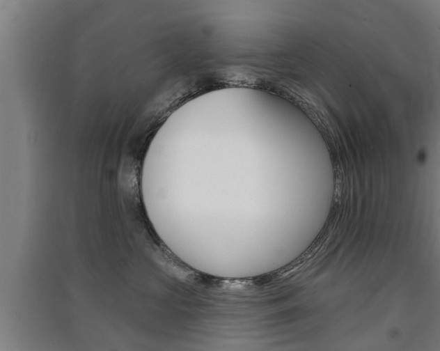 X0000091510573200708170951