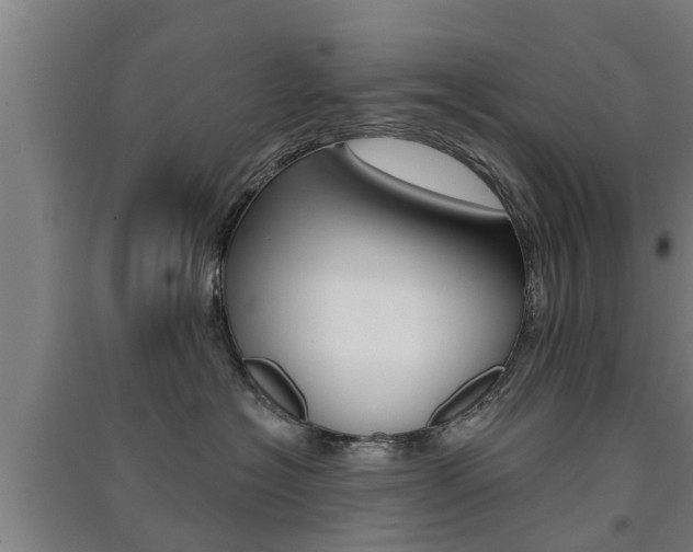 X0000091510574200708170951