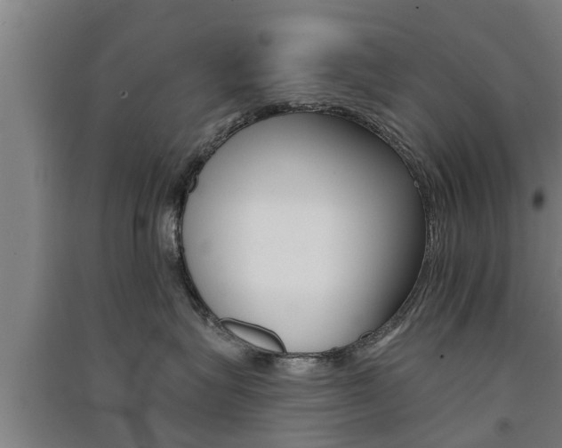 X0000091510575200708170951