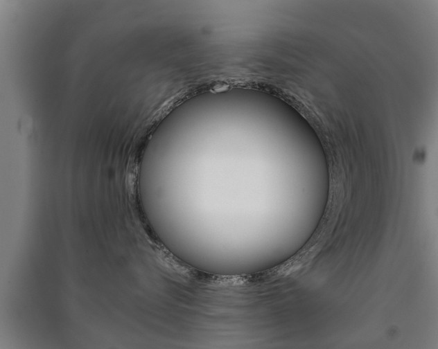 X0000091510576200708170951