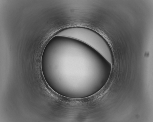 X0000091510577200708170951