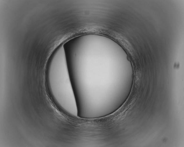 X0000091510578200708170951
