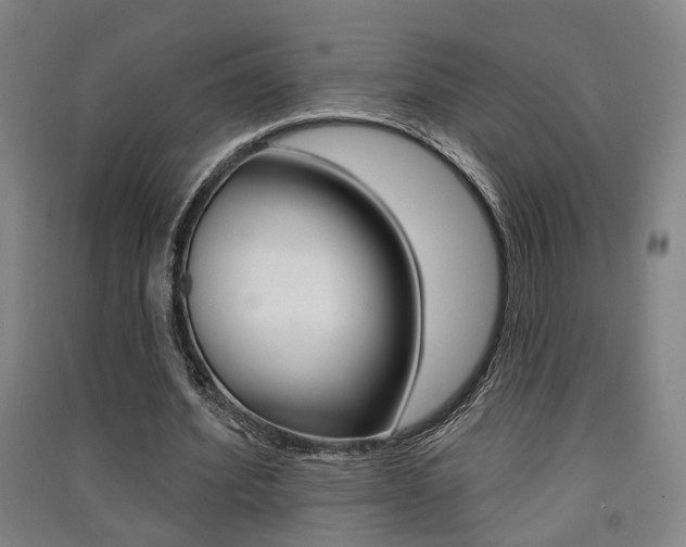 X0000091510580200708170951