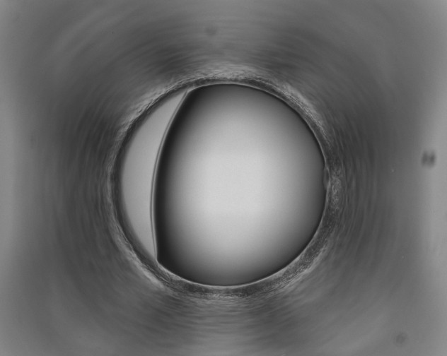 X0000091510581200708170951