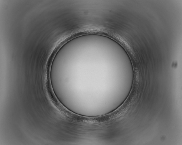 X0000091510582200708170951