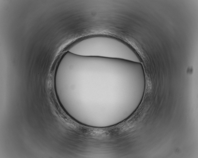 X0000091510583200708170951