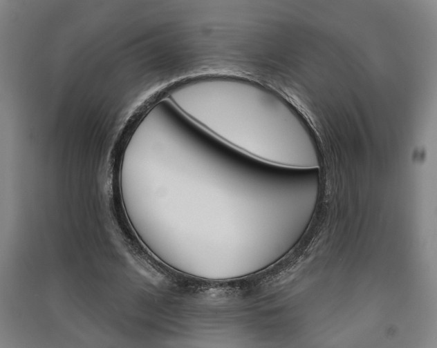 X0000091510584200708170951