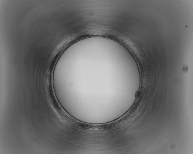 X0000091510586200708170951