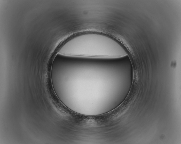 X0000091510588200708170951