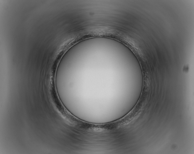 X0000091510590200708170951