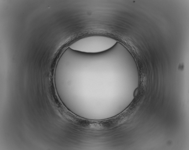 X0000091510591200708170951