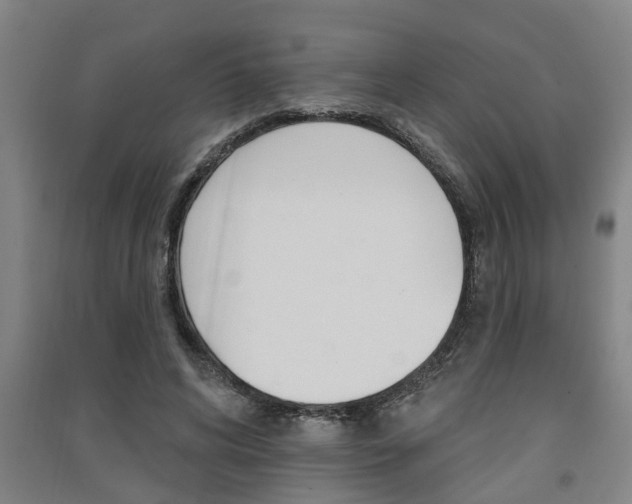 X0000091510592200708170951