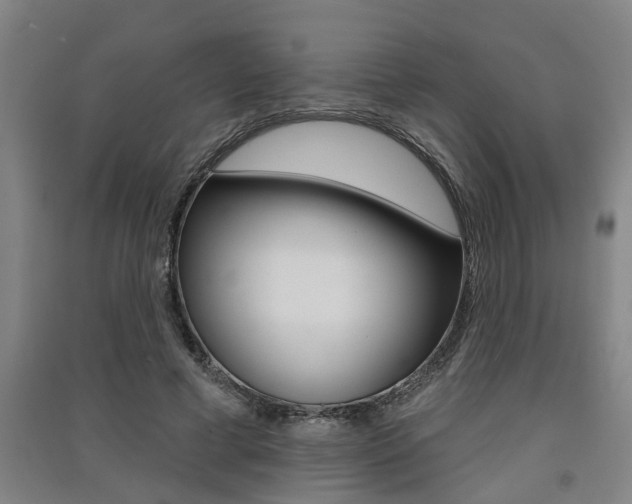 X0000091510593200708170951