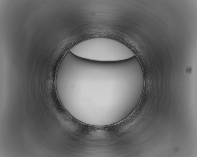 X0000091510594200708170951