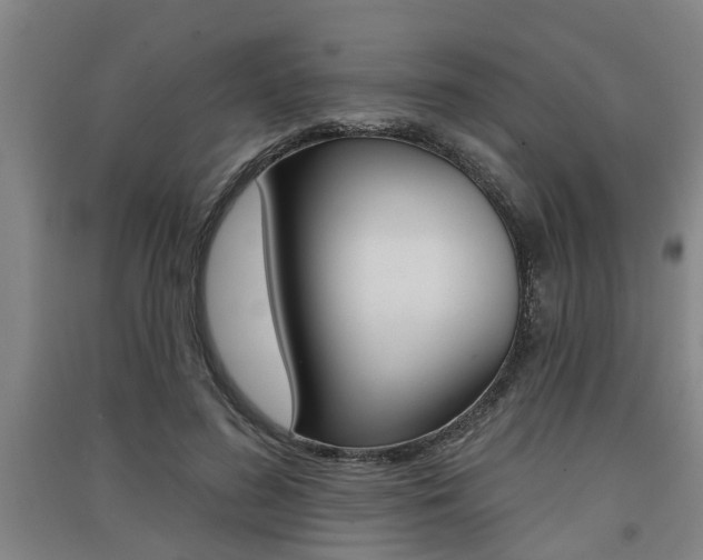 X0000091510596200708170951