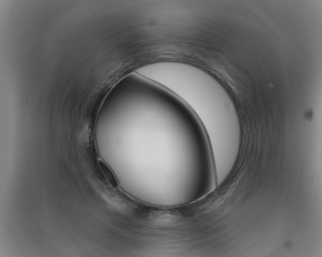 X0000091510597200708170951