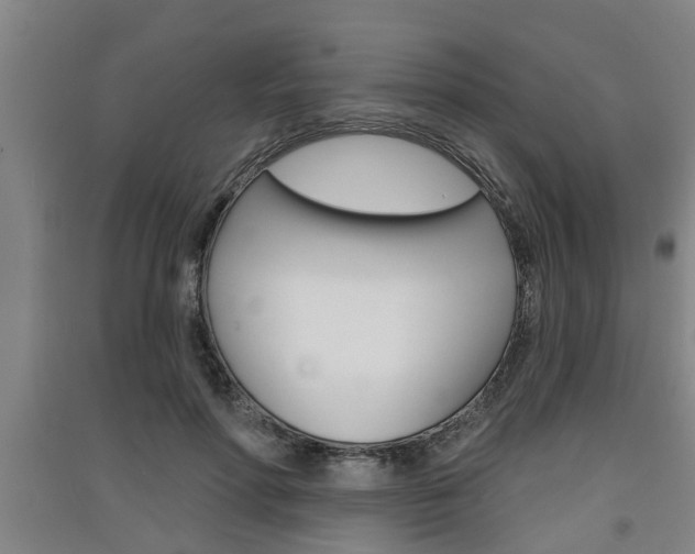 X0000091510598200708170951