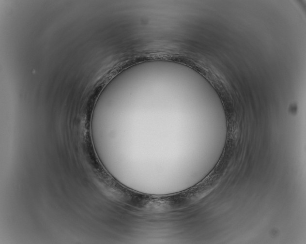 X0000091510599200708170951