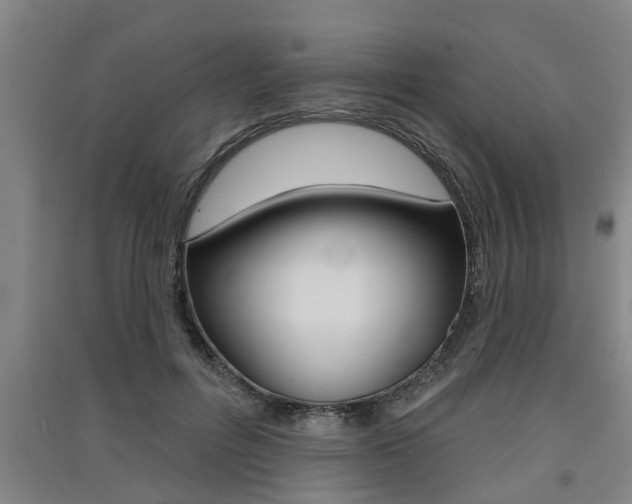 X0000091510600200708170951