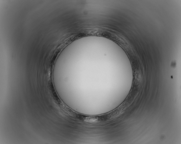 X0000091510602200708170951