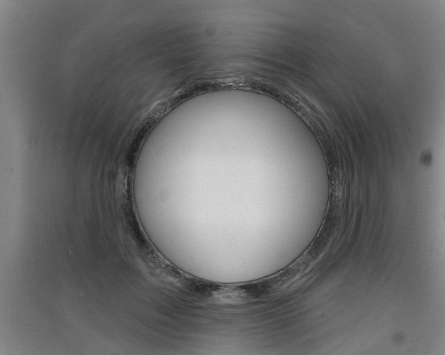 X0000091510603200708170950