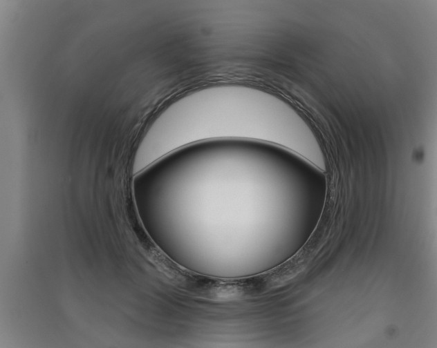 X0000091510604200708170950