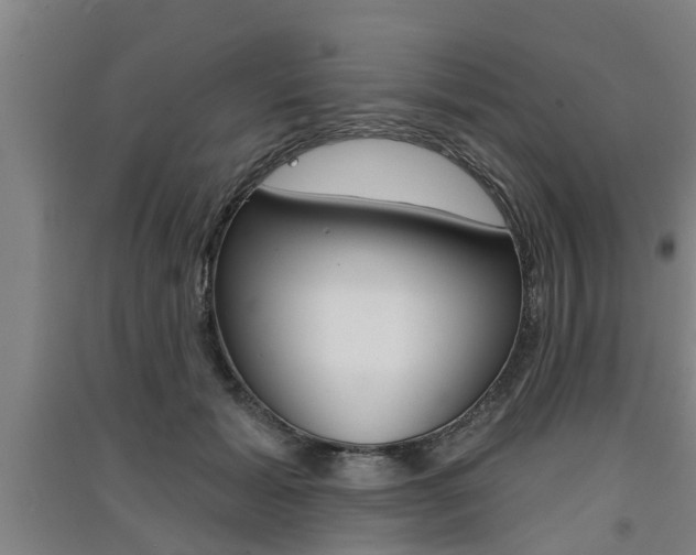 X0000091510605200708170950