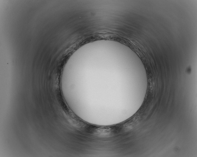 X0000091510606200708170950