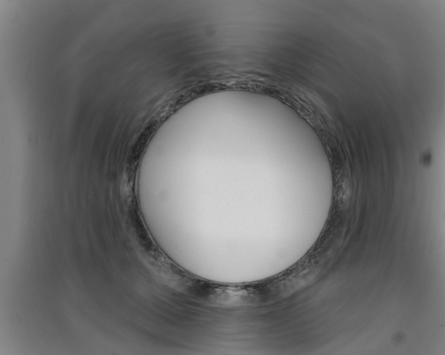 X0000091510607200708170950