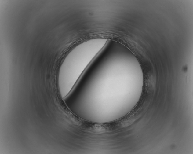 X0000091510608200708170950