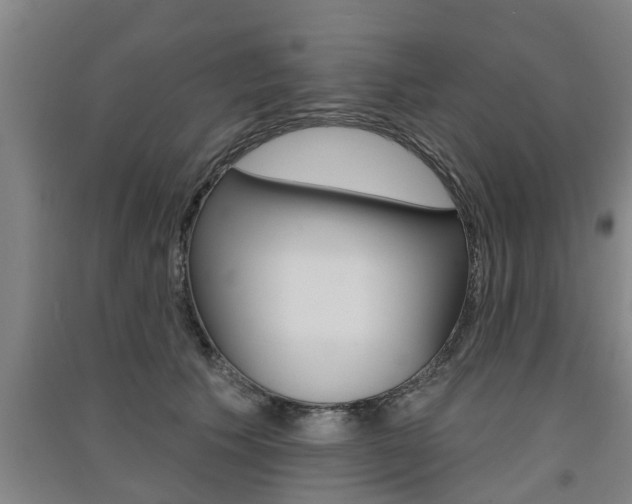X0000091510609200708170950