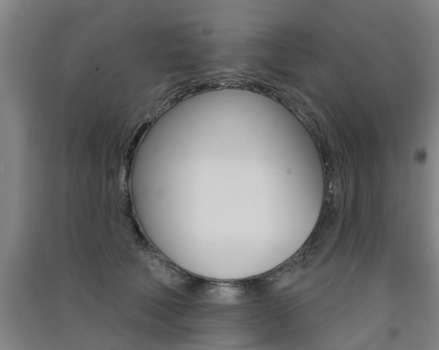 X0000091510610200708170950