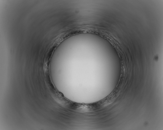X0000091510611200708170950