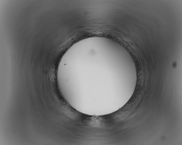 X0000091510612200708170950