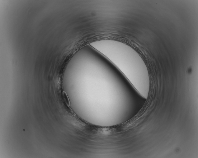 X0000091510613200708170950