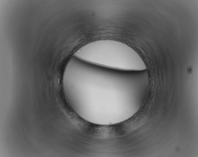 X0000091510615200708170950