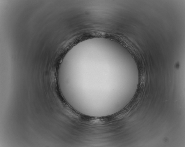 X0000091510616200708170950