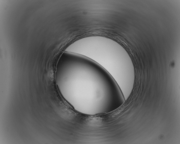 X0000091510617200708170950