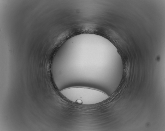 X0000091510619200708170950