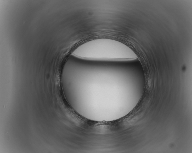 X0000091510620200708170950