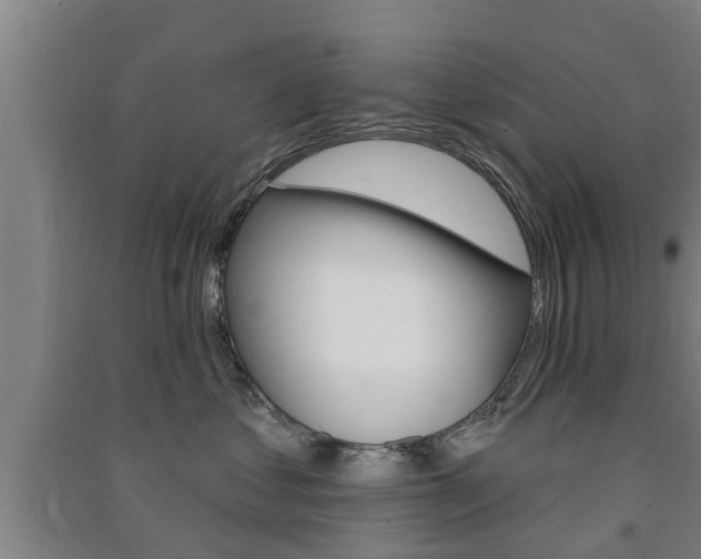 X0000091510621200708170950