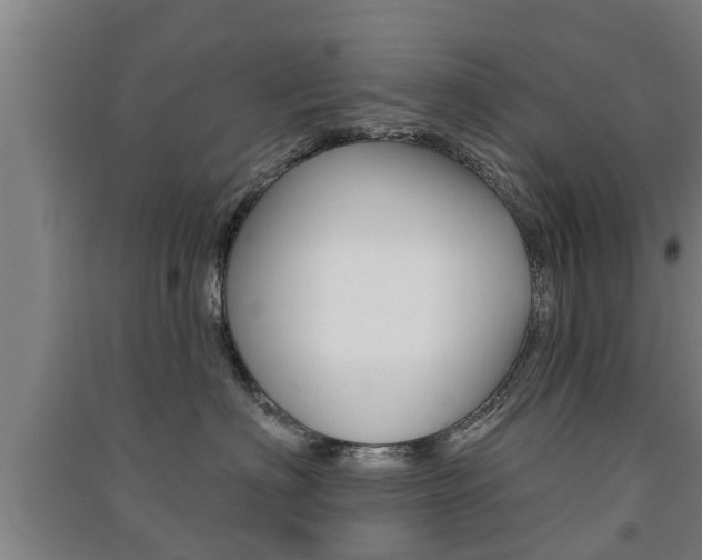 X0000091510622200708170950
