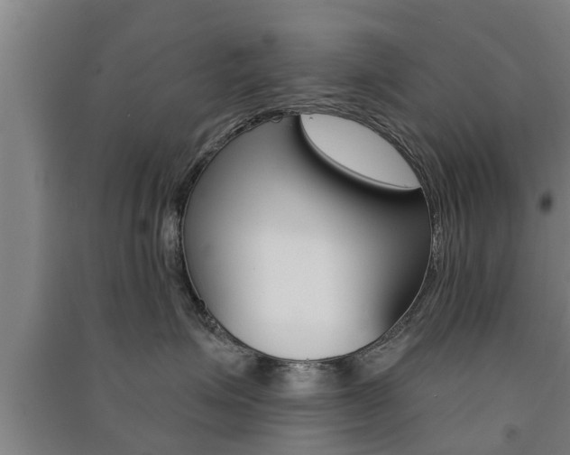 X0000091510623200708170950