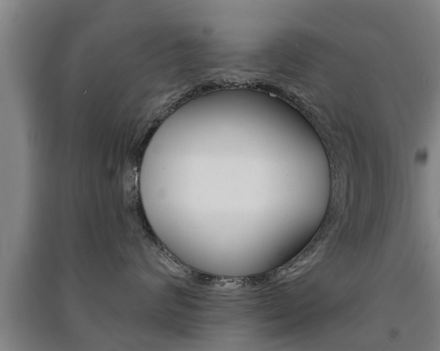 X0000091510624200708170950