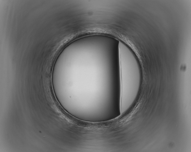 X0000091510625200708170950