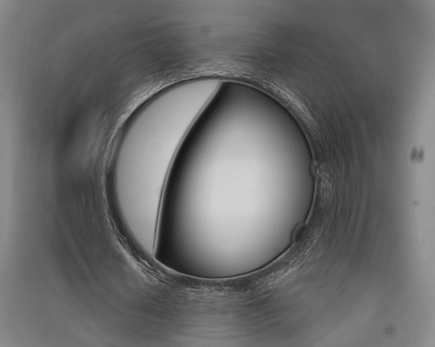 X0000091510626200708170950