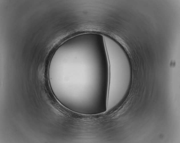 X0000091510627200708170950