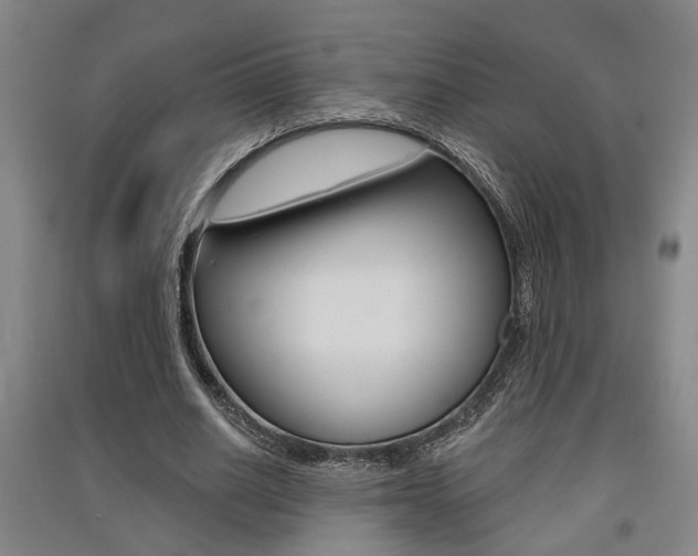 X0000091510630200708170950