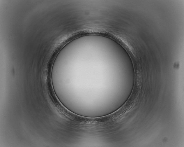 X0000091510631200708170950